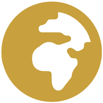 globe-africa-solid-yellow291x300-01.png
